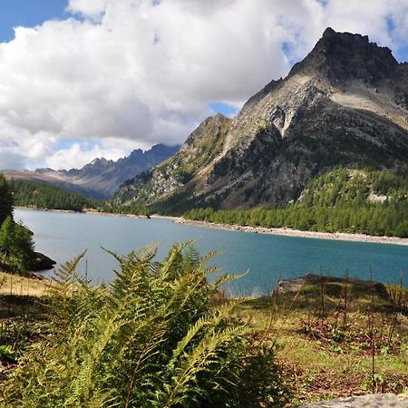 Casa Vacanza In Tipico Chalet Di Montagna Villa Varzo Kültér fotó