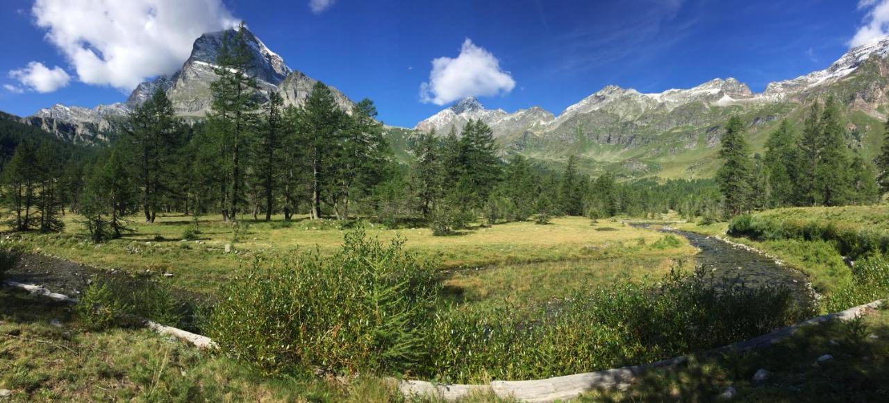 Casa Vacanza In Tipico Chalet Di Montagna Villa Varzo Kültér fotó