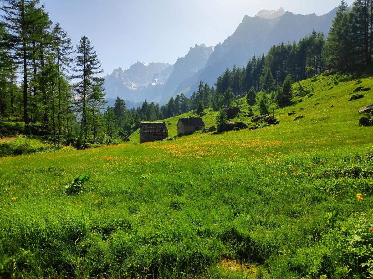 Casa Vacanza In Tipico Chalet Di Montagna Villa Varzo Kültér fotó