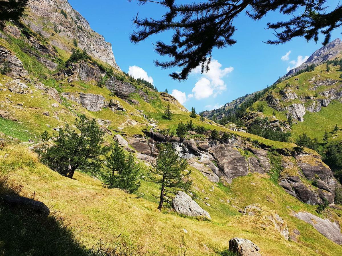 Casa Vacanza In Tipico Chalet Di Montagna Villa Varzo Kültér fotó