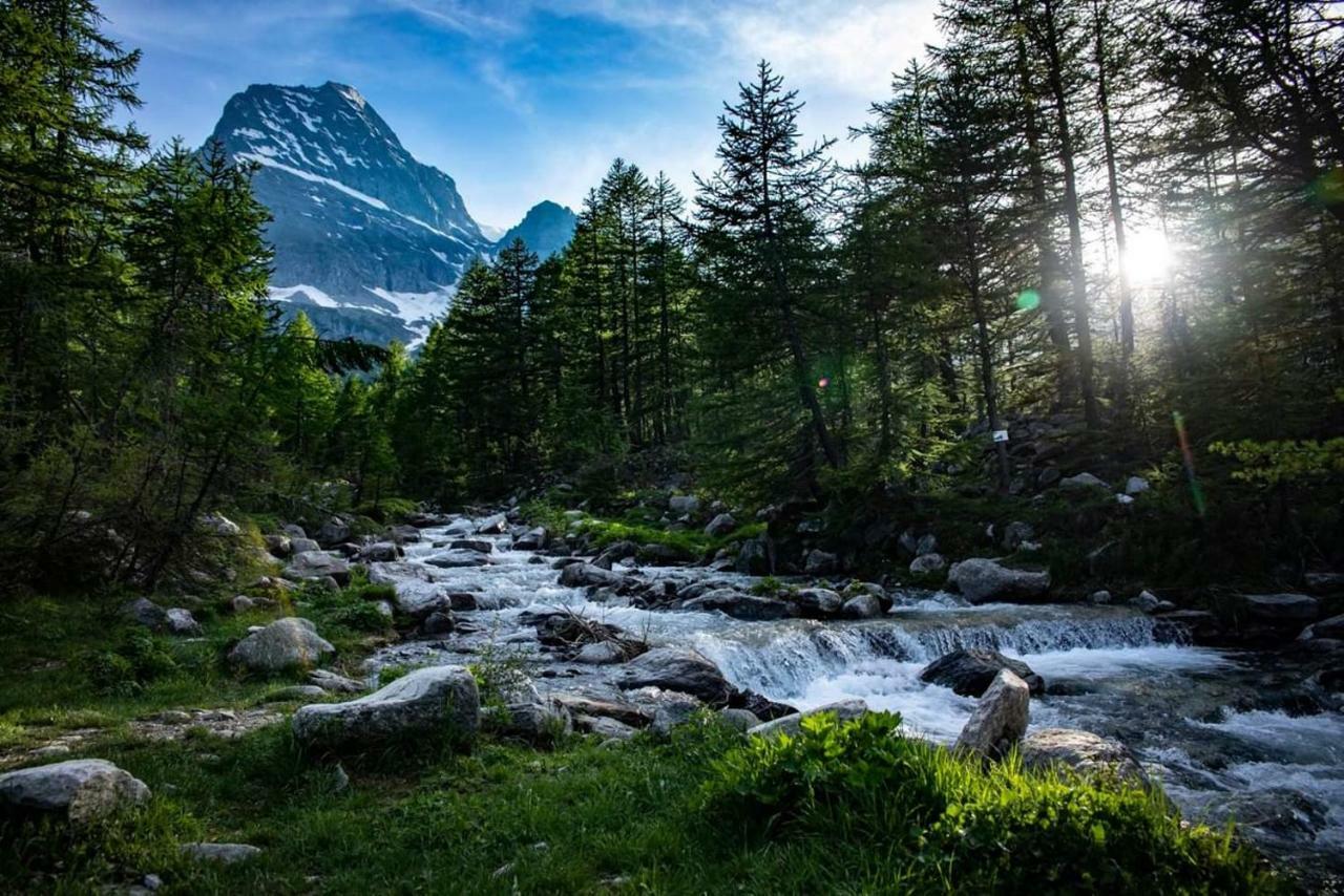 Casa Vacanza In Tipico Chalet Di Montagna Villa Varzo Kültér fotó